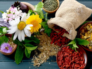 گیاهان دارویی